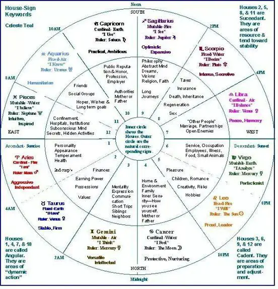 astrology houses chart south indian